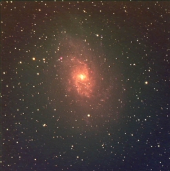 M 33